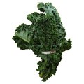 Green Kale - 1 Each