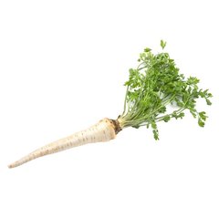 Parsley Root