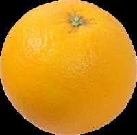 Medium Valencia Oranges