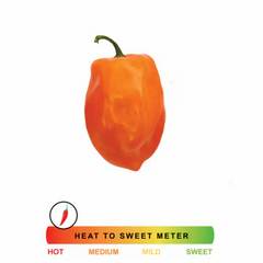 Fresh Habanero Peppers, Avg. 0.03 lb