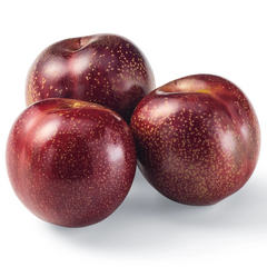 Fresh Red Plumcot, Avg. 0.395 lb