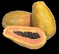 Fresh Maradol Papaya, Avg. 3.85 lbs