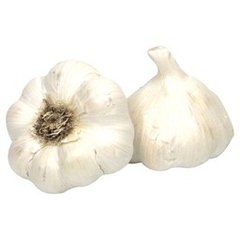 Jumbo Garlic 1 ct