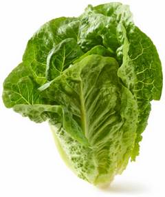 Romaine Lettuce 1 ea
