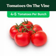 Fresh Tomatoes on the Vine (4-5 Tomatoes), Avg. 1.27 lbs