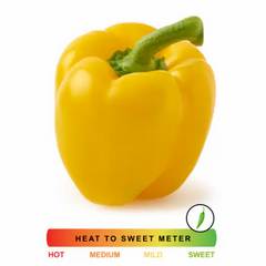 Yellow Bell Pepper 1 ct