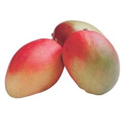 Fresh Large Mango