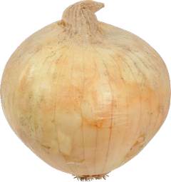 Organic Jumbo Sweet Onions