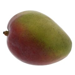Fresh Organic Large Mango