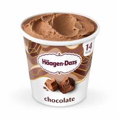 Häagen-dazs Chocolate Ice Cream 14 oz