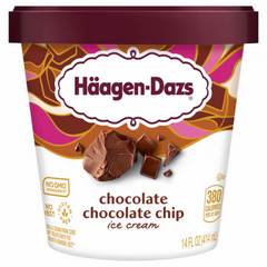 Haagen Dazs Chocolate Chocolate Chip Ice Cream 14 oz 14 fl oz