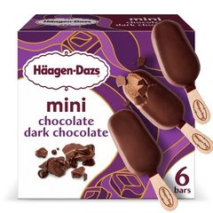 Haagen Dazs Chocolate Dark Chocolate Mini Ice Cream Bars 6 Count 11.1 fl oz