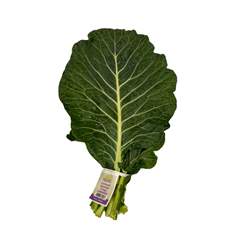 Fresh Collard Greens Bunch
