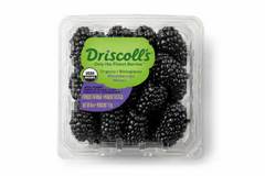 Organic Driscoll's Blackberries 6 oz