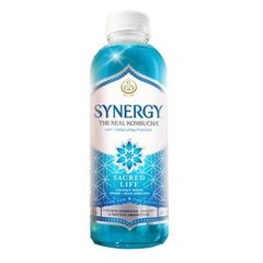 Gt's Synergy Raw Elderberry Juniper Kombucha 16 fl oz 16 fl oz