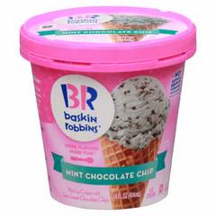 Baskin Robbins Mint Chocolate Chip Ice Cream 14 oz