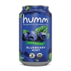 Humm Blueberry Mint Probiotic Kombucha Single Can