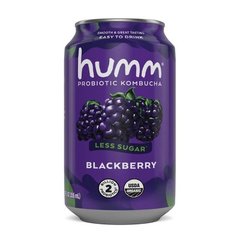 Humm Blackberry Probiotic Kombucha Single Can